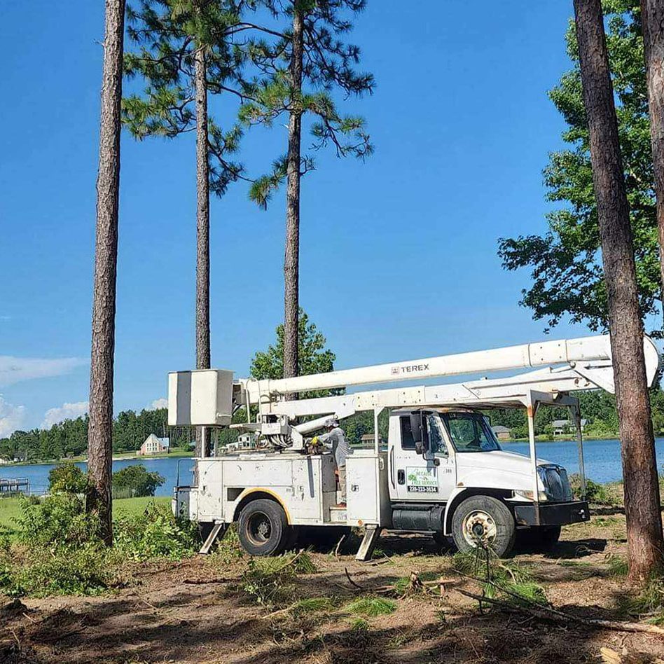 Necaise Tree Truck